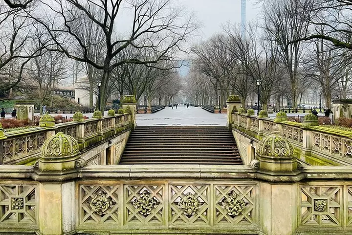 Central Park Pedicab Tour ( starting - Natural History Museum )