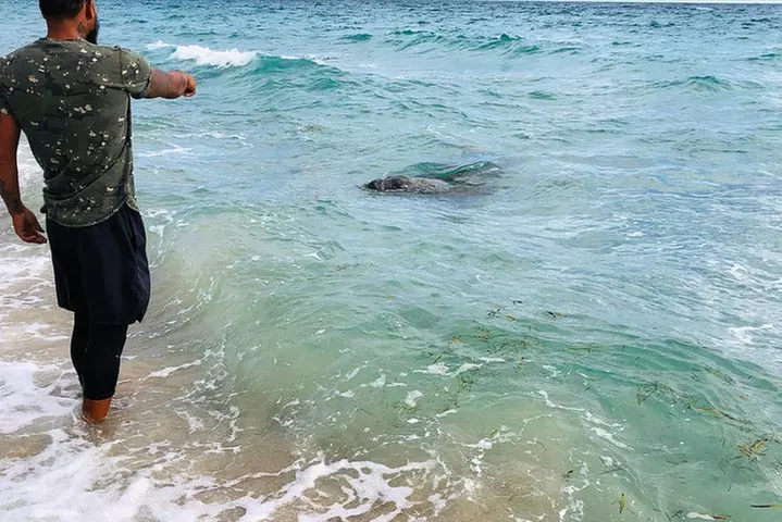 90-Minute Snorkel & Seabob Underwater Guided Reef Tour in Fort Laud...