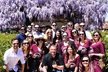 Weekday Wine Tour Special +Local Pick-up in Temecula Wine Country - Second Medium
