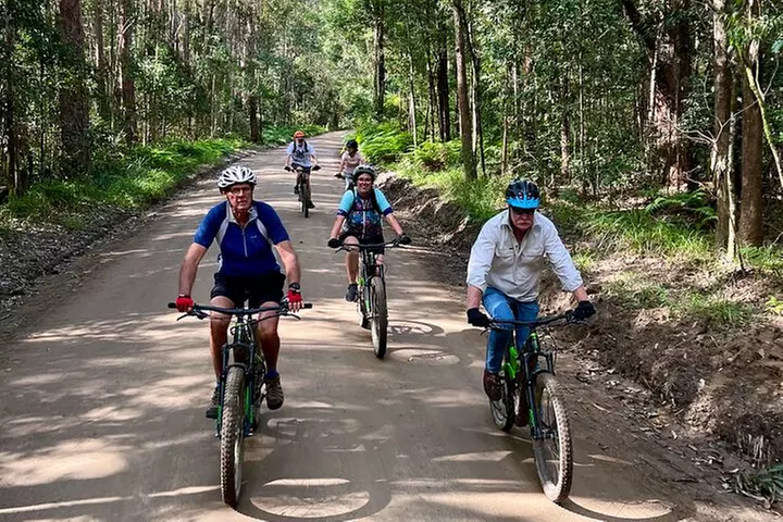 Scenic eBike of the Noosa Biosphere Trail Network