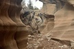 Slot Canyon 2hr tour at Willis Creek - Second Medium