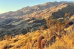 Mountain Sunrise Hike and Meditation in Palm Springs - Second Medium