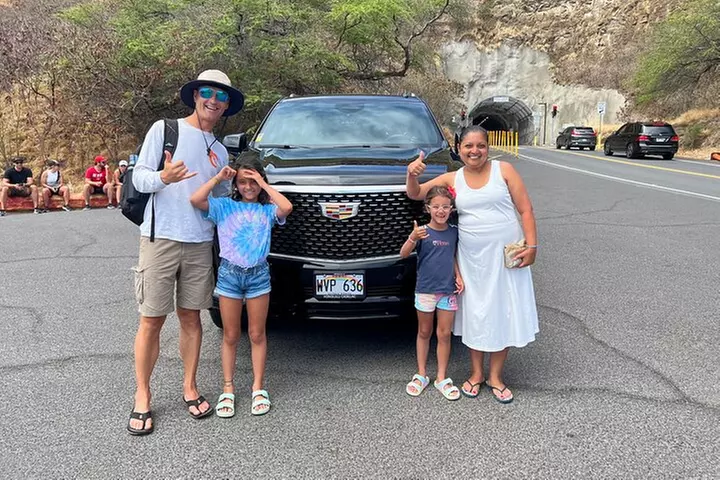 One-Way VIP Transfer: Honolulu Airport, Waikiki, Cruise Port