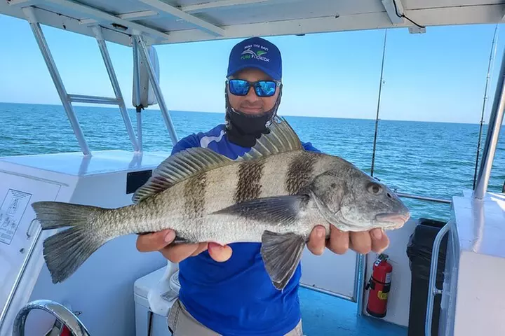 Calm Bay Fishing