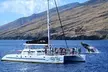 Luxury Catamaran Whale Watch - Second Medium