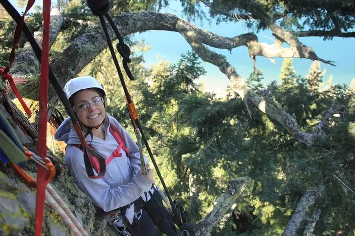 Tree Canopy Climbing on Lopez Island - Primary Image