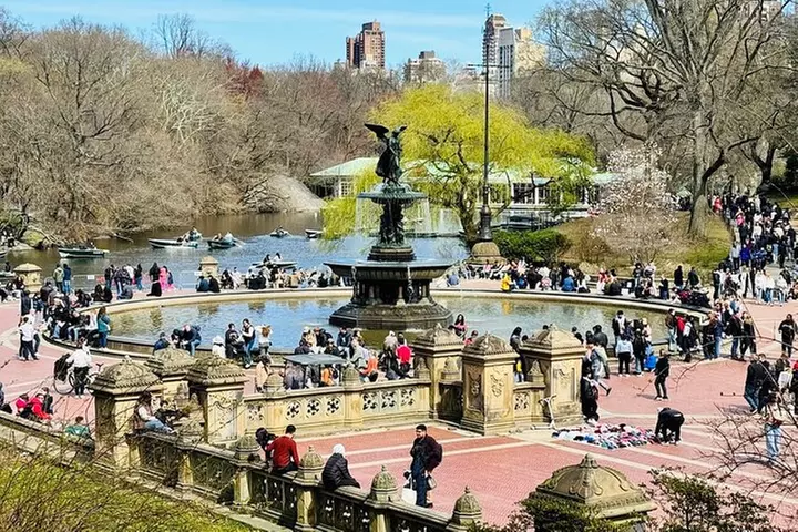 Central Park 2 - Hours Private Pedicab Guided Tour