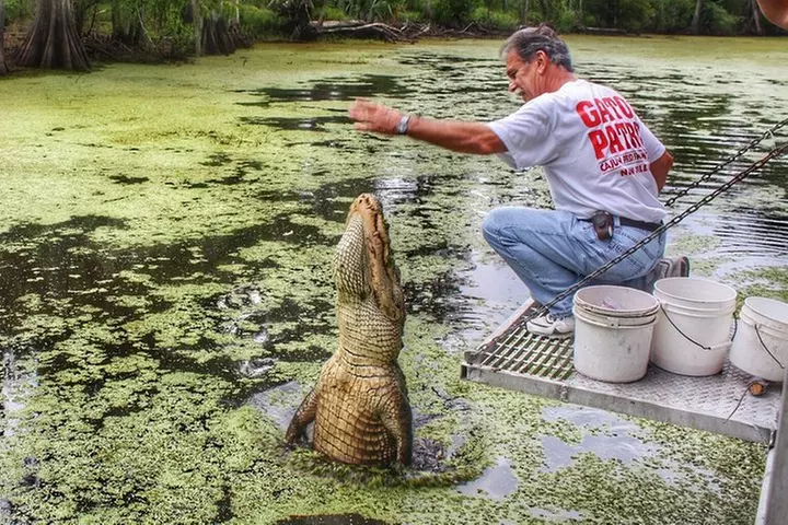 Swamp Boat Ride and Oak Alley Plantation Tour from New Orleans
