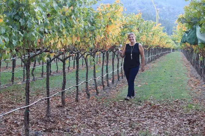 Napa Wine Tasting Priority Pass - Primary Image