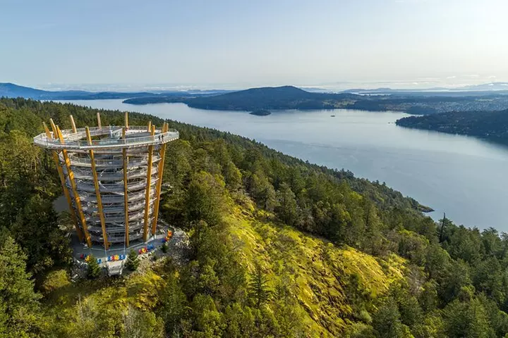 Malahat SkyWalk Tickets - Second Medium