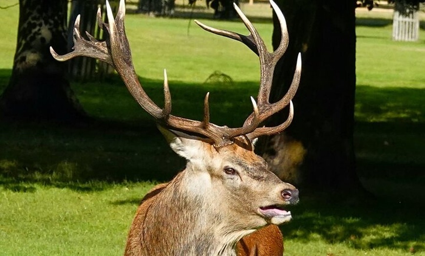 Image 20: Hampton Court Palace from Southampton Cruise Terminal