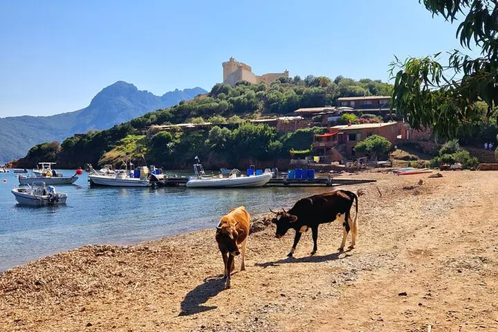 De Sagone/Cargèse: Scandola Girolata Calanques Piana Snorkeling