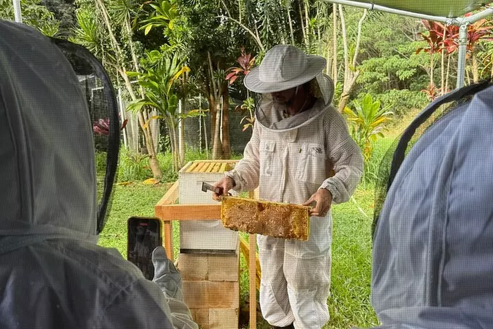 Inside the Hive: Kauai Honey and Bee Tour