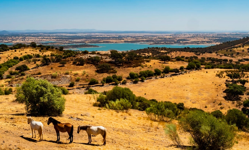 Image 5: ✈ ALGARVE | Faro - Les secrets cachés de l'Algarve et de l'Alentejo...