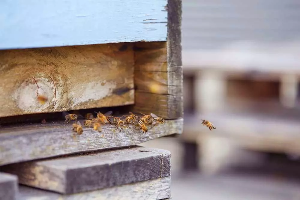 ✈ DEUTSCHLAND | Berlin - Scandic Berlin Potsdamer Platz 4*, 2 Nächte