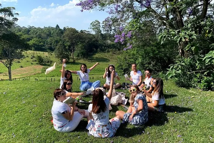 Barefoot Luxury Mount Tamborine Winery Tour from Gold Coast