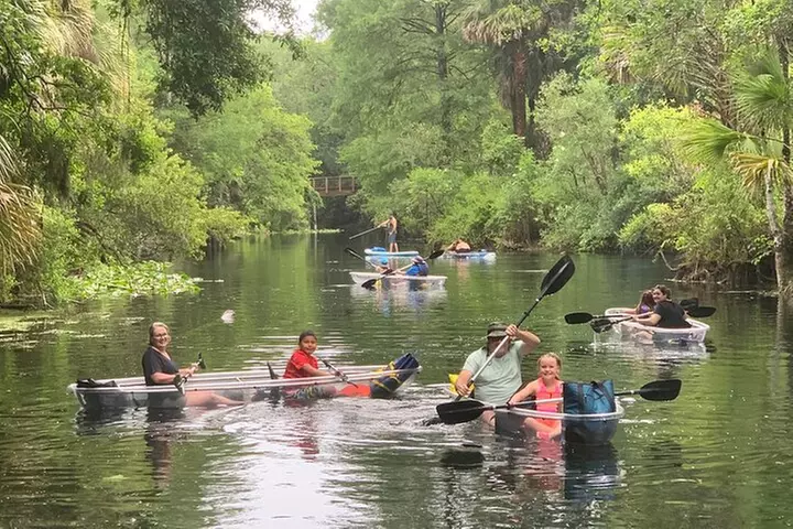 Clear Canoeing and Wildlife Sightseeing at Silver Springs