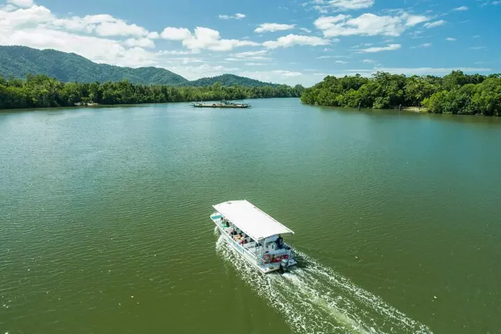 Daintree Rainforest and Cape Tribulation Full Day Tour