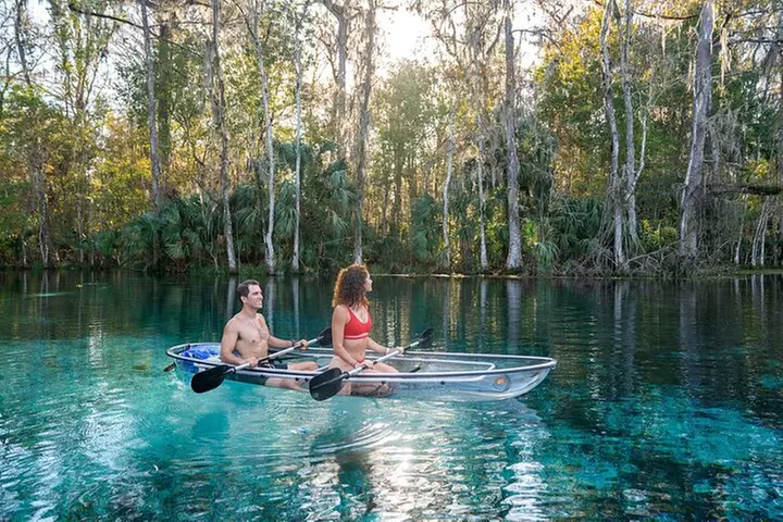 Silver Springs: Clear Kayak Wildlife Adventure - Primary Image