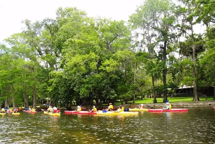 Wekiva River Guided Kayak Tour