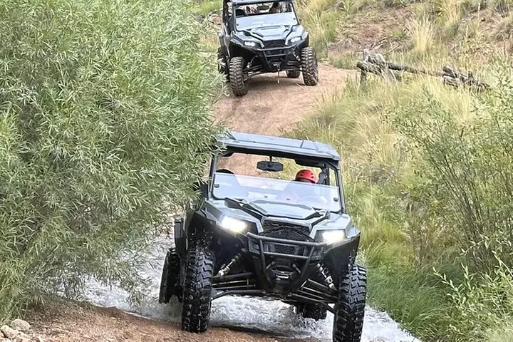 Woodland Park: 2 Hour Guided Wildlife Sunset UTV Tour - You Drive