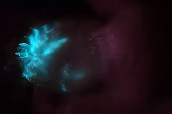 Florida Bioluminescence Kayaking Tour (Titusville)