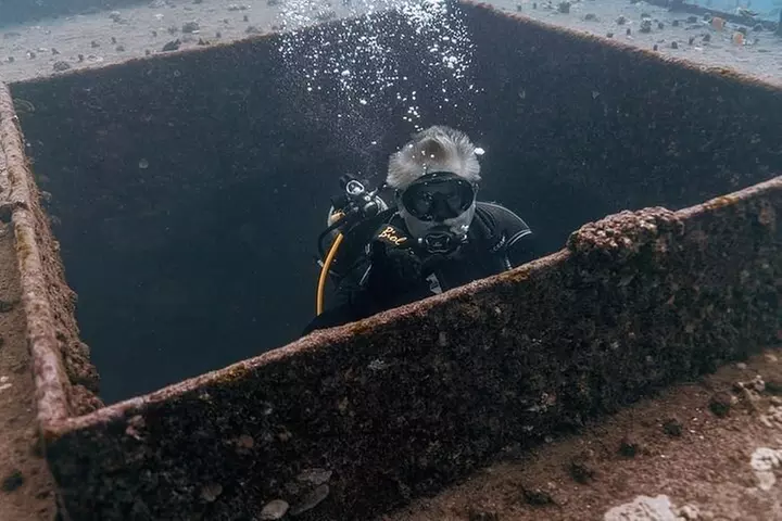 Certified Divers: Best 2-Tank Wrecks & Reef Boat Dive All Inclusive...