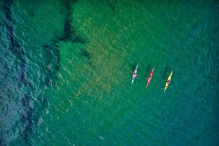 Sick Day Midweek Kayak Tour on Tomales Bay - Primary Image