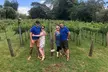 Barefoot Luxury Mount Tamborine Winery Tour from Gold Coast - Image 5