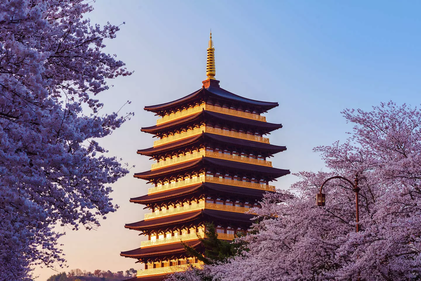 ✈ COREA DEL SUD | Da Seul a Osaka - Viaggio in Asia, dalla Corea al...