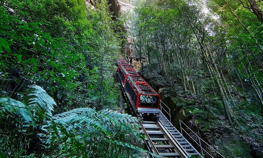 Image 2: Blue Mountains Day Tour -Scenic World, Koalas & Roos (10 ppl MAX)
