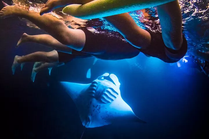 Manta Ray Night Snorkel Tour in Kailua-Kona, Big Island