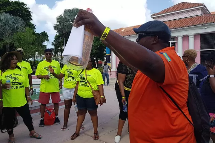 Nassau Island Highlights Sightseeing Tour