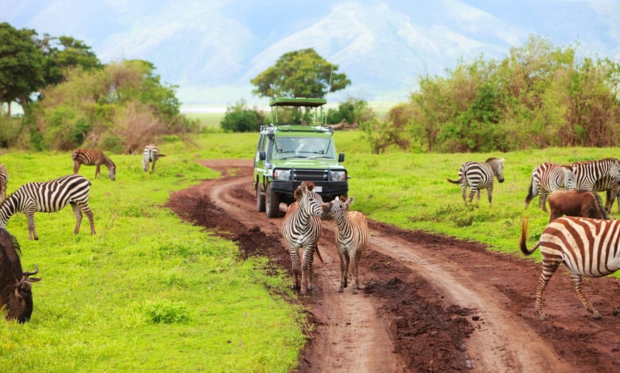 Image 17: ✈ TANZANIA | From Kilimanjaro to Zanzibar - Safari in the savannah ...