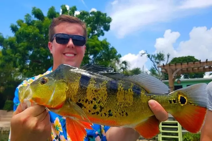 Peacock Bass Fishing Trips Near Miami Florida