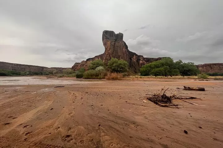 3-hour Private Tour