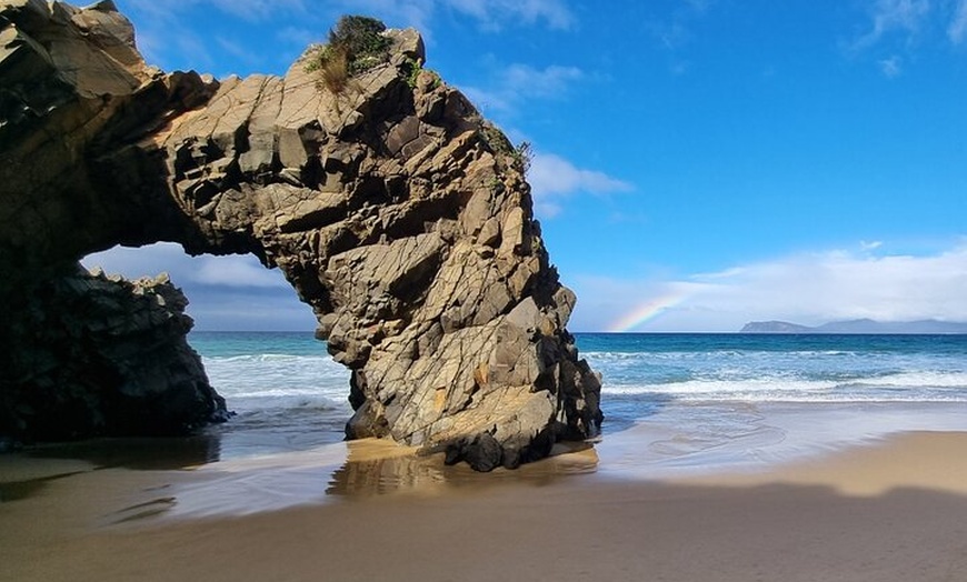 Image 15: Bruny Island Nature and Tasting Active Day Tour