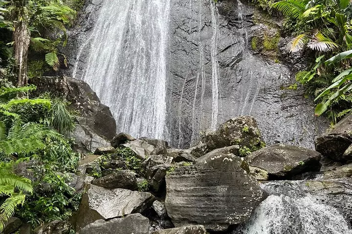 Day Trip to El Yunque Tropical Rainforest from San Juan