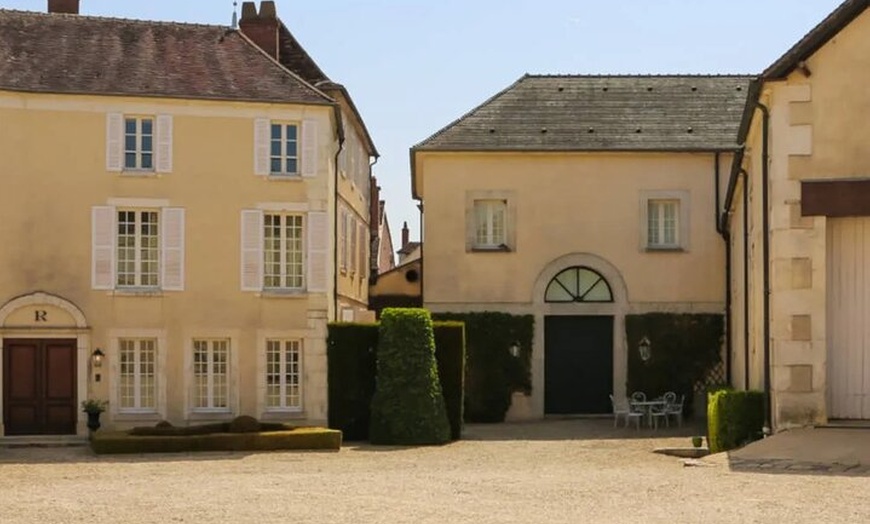 Image 8: Visite privée de dégustation de vins à Chablis Bourgogne au départ ...