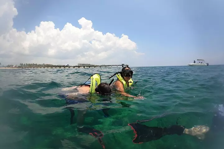 Public Guided Snorkel Tour of Fort Lauderdale Reefs