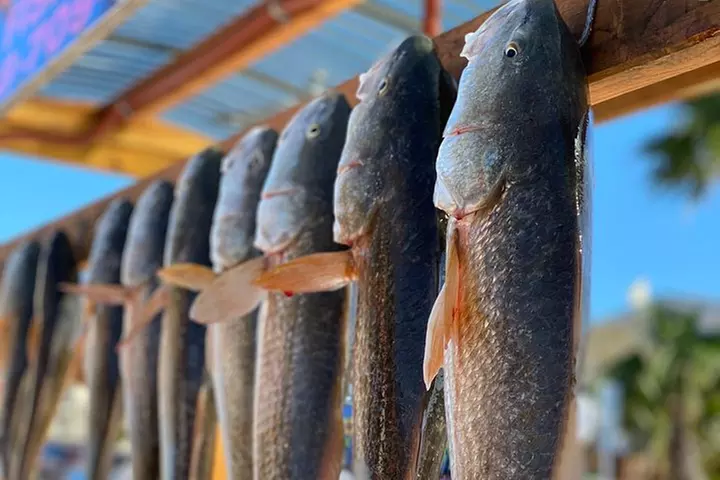 Private Bay Fishing South Padre Island - Primary Image