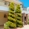 Image 10: ✈ KRETA | Malia - Bella Elena Apartments 3*, 3 nocy - Baseny