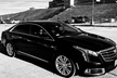 Chicago 6-Hour City Tour by Sedan - Second Medium