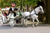 Carriage Ride in Central Park (VIP - PRIVATE) Since 1964™