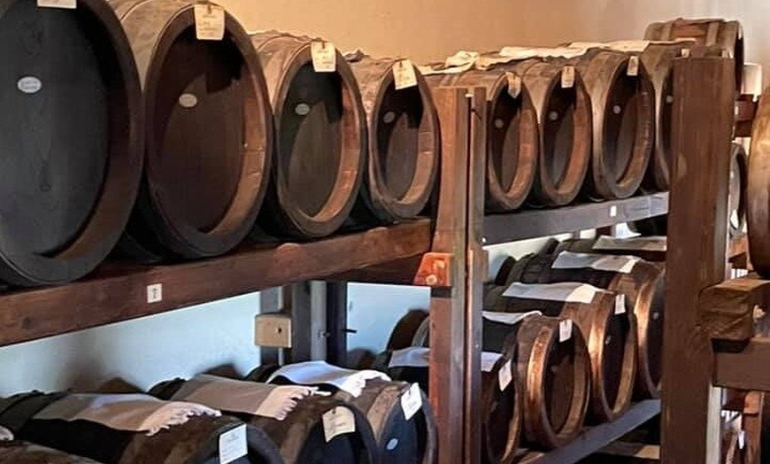 Image 5: Tour privato di degustazione di vino e degustazione di parmigiano a...