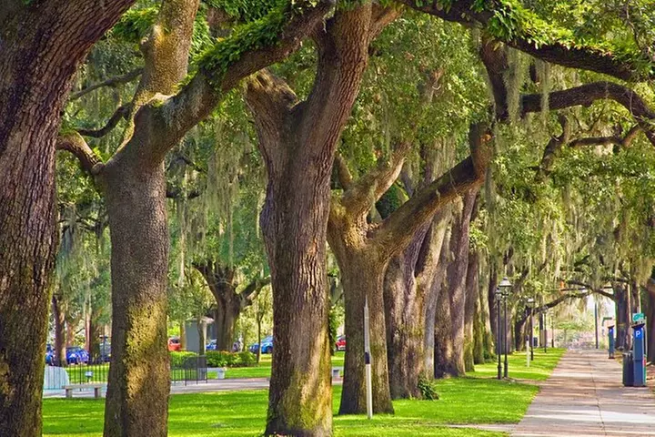Hysterical History of Savannah A Comedy Tour - Primary Image