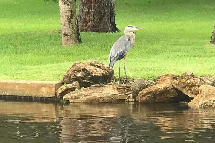 Brevard County Tours, dolphin and manatee tours in Palm Bay, FL