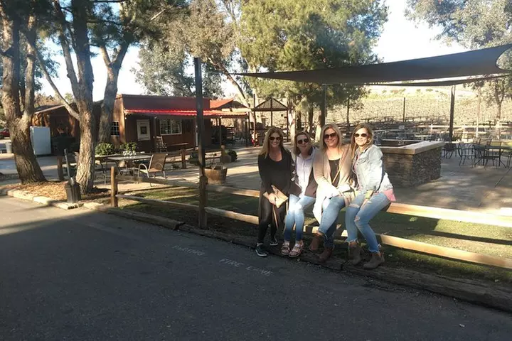 Temecula Valley Wineries and Vineyards Drink and Taste Tour From Or...