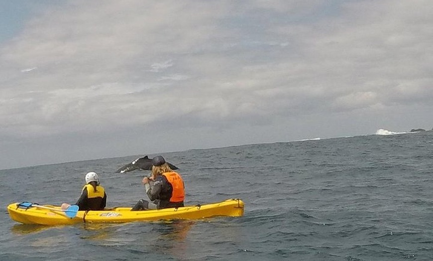 Image 10: The Byron Bay Sea Kayak Tour