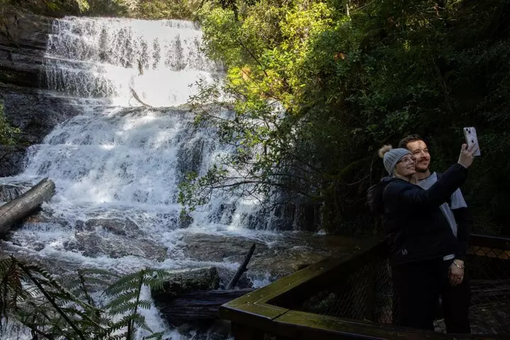 Hobart: Mt. Field, Mt Wellington & Wildlife - Active Day Tour